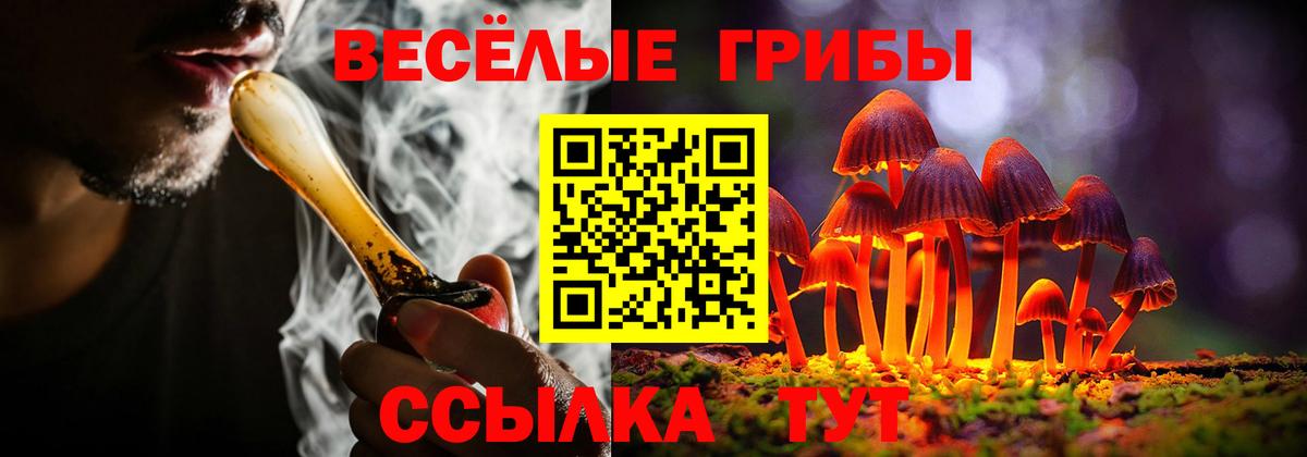 Галлюциногенные грибы GOLDEN TEACHER Борзя